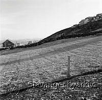 BySt020_0472_536.tif