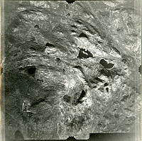 ByStW_Uca_340.jpg