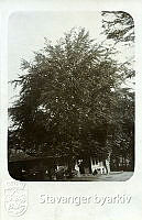 BySt2000_01_218.tif
